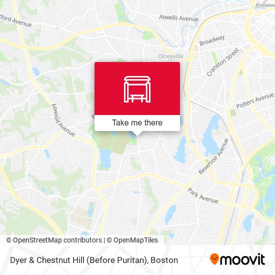 Dyer & Chestnut Hill (Before Puritan) map