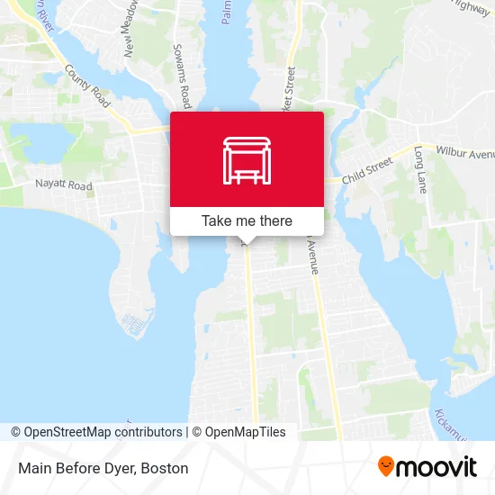 Main Before Dyer map