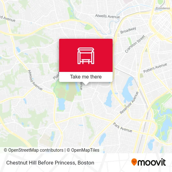 Chestnut Hill Before Princess map