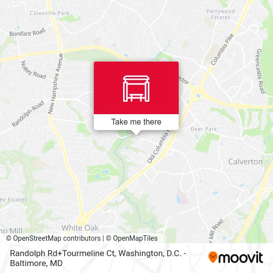 Randolph Rd+Tourmeline Ct map