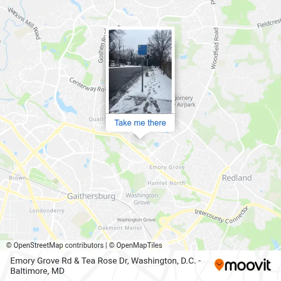 Emory Grove Rd & Tea Rose Dr map