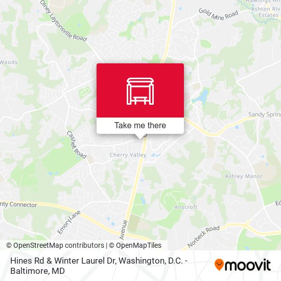 Hines Rd & Winter Laurel Dr map