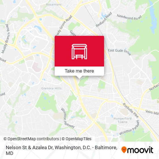 Nelson St & Azalea Dr map