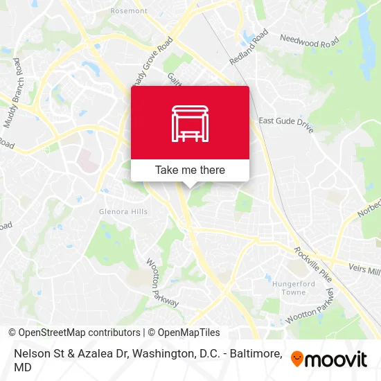 Nelson St & Azalea Dr map