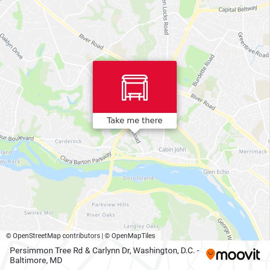 Persimmon Tree Rd & Carlynn Dr map