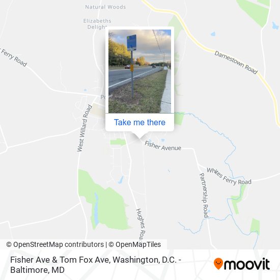 Fisher Ave & Tom Fox Ave map