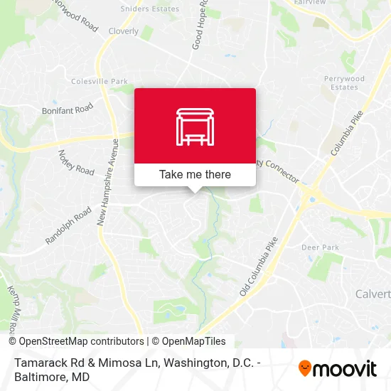 Tamarack Rd & Mimosa Ln map