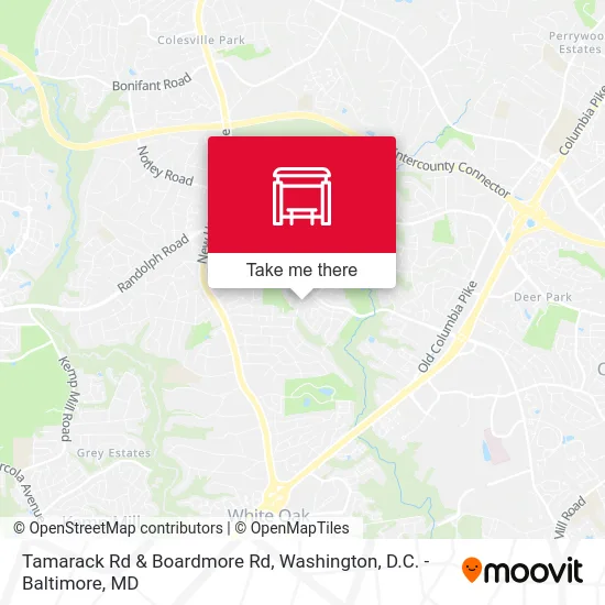Tamarack Rd & Boardmore Rd map