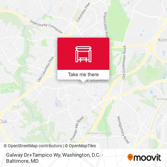 Galway Dr+Tampico Wy map