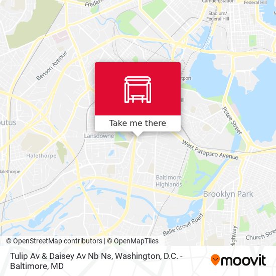 Mapa de Tulip Av & Daisey Av Nb Ns