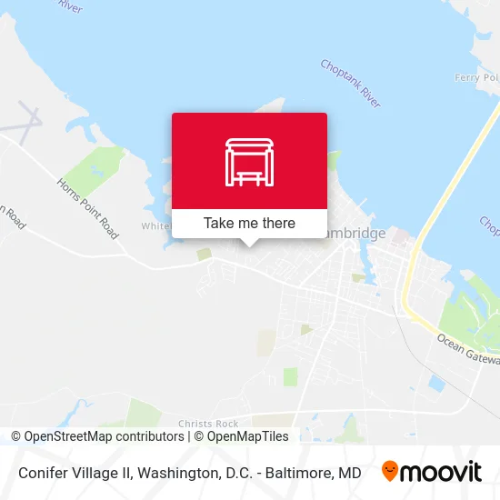 Conifer Village II map