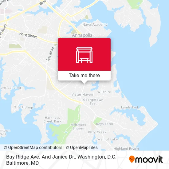 Bay Ridge Ave. And Janice Dr. map