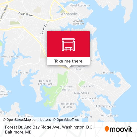 Forest Dr. And Bay Ridge Ave. map