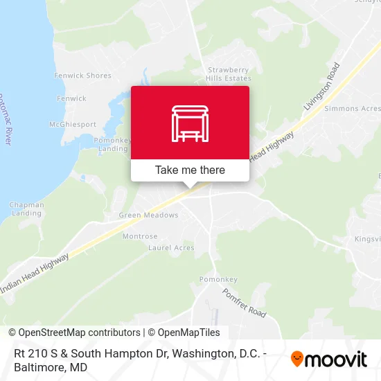 Rt 210 S & South Hampton Dr map