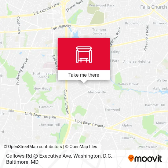 Gallows Rd @ Executive Ave map