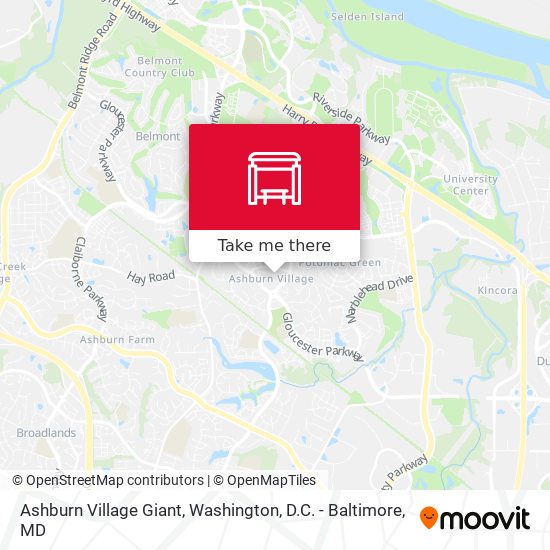Ashburn Village Giant map