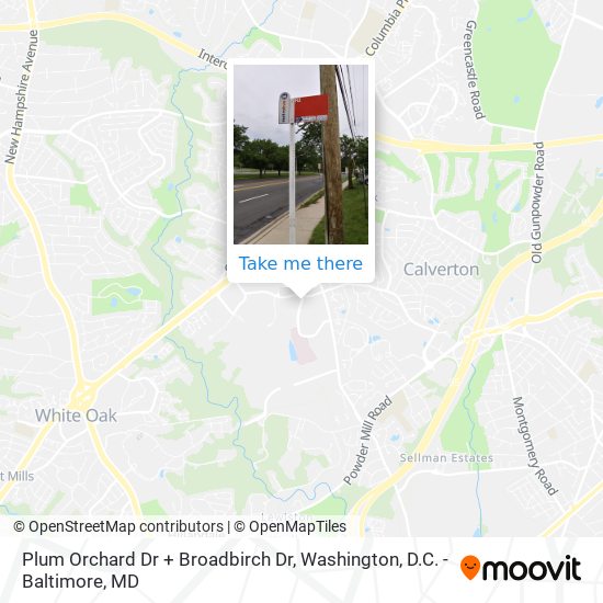 Plum Orchard Dr + Broadbirch Dr map
