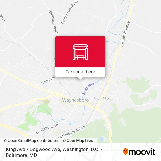 King Ave / Dogwood Ave map