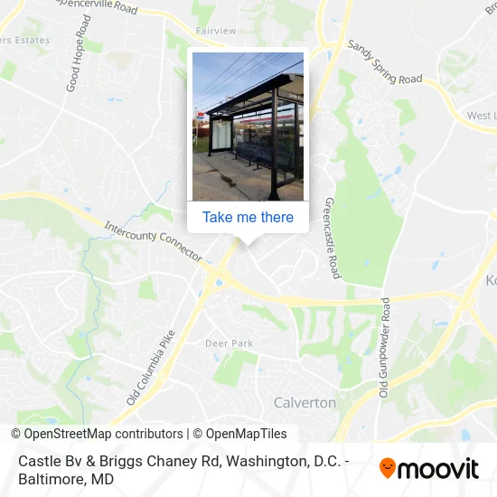 Castle Bv & Briggs Chaney Rd map