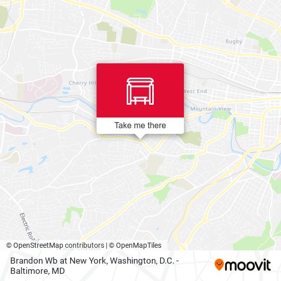 Brandon Wb at New York map