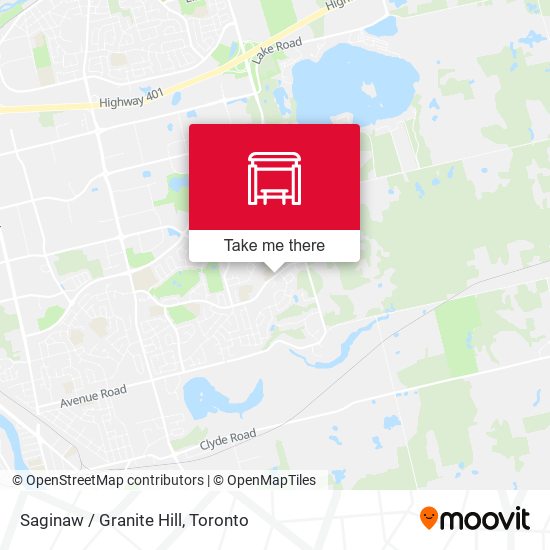 Saginaw / Granite Hill plan