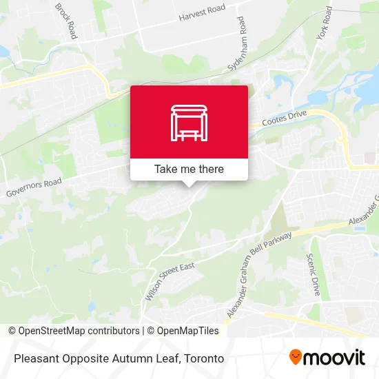 Pleasant Opposite  Autumn Leaf map