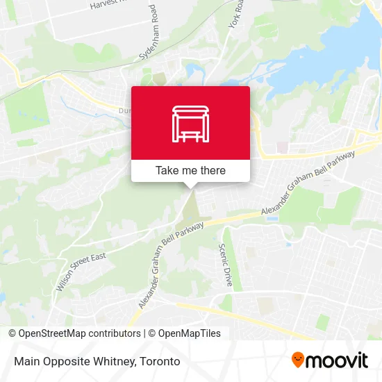Main Opposite Whitney map