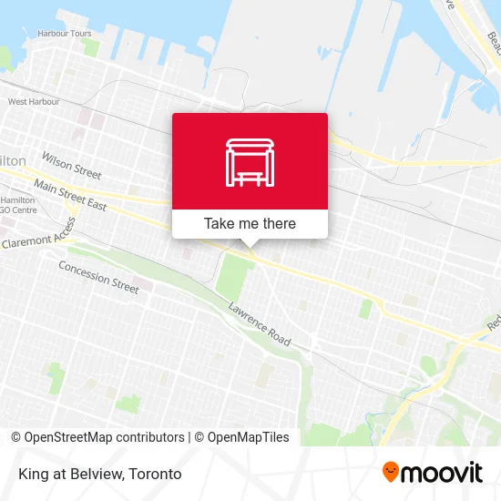 King at Belview map