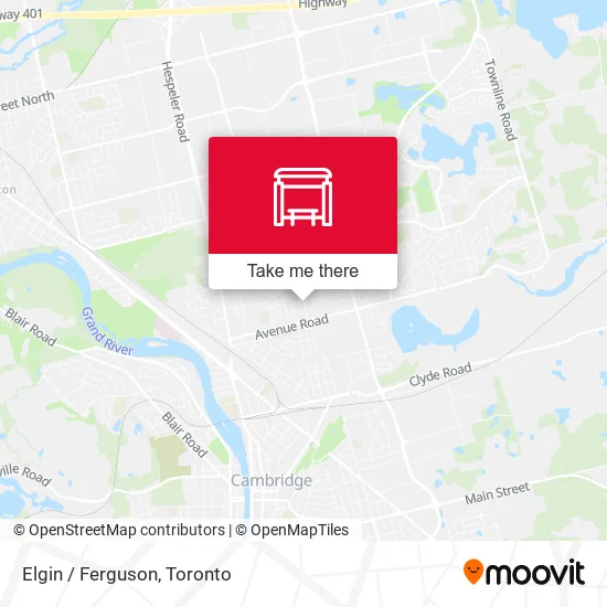 Elgin / Ferguson map