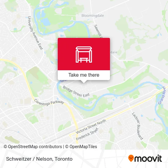 Schweitzer / Nelson map