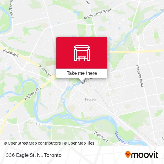 336 Eagle St. N. map