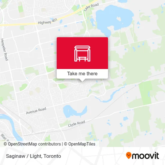 Saginaw / Light map