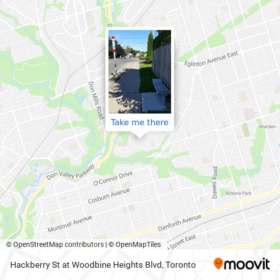 Hackberry St at Woodbine Heights Blvd map