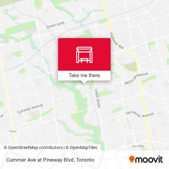 Cummer Ave at Pineway Blvd map