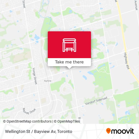 Wellington St / Bayview Av map