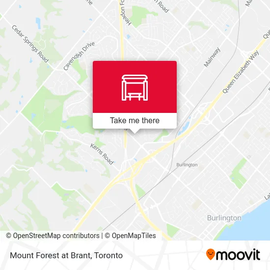 Mount Forest at Brant map