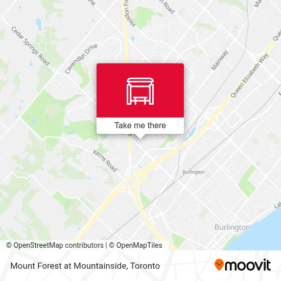 Mount Forest at Mountainside map