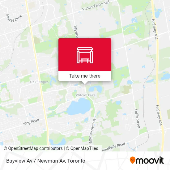 Bayview Av / Newman Av map