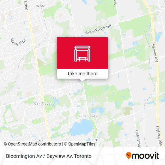 Bloomington Av / Bayview Av map