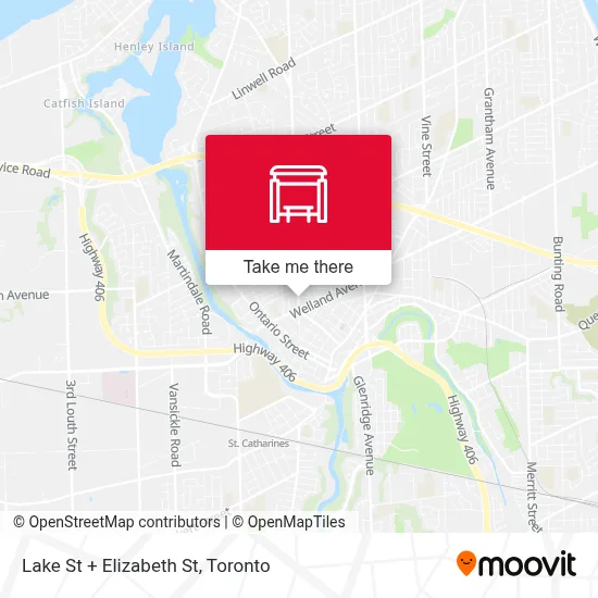 Lake St + Elizabeth St map
