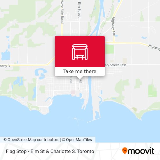 Flag Stop - Elm St & Charlotte S plan