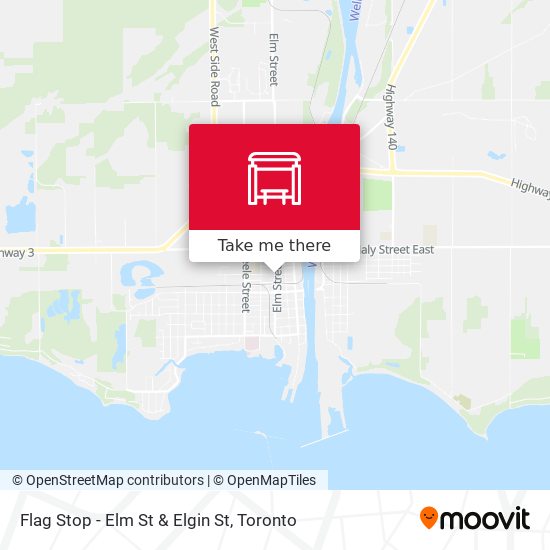 Flag Stop - Elm St & Elgin St map
