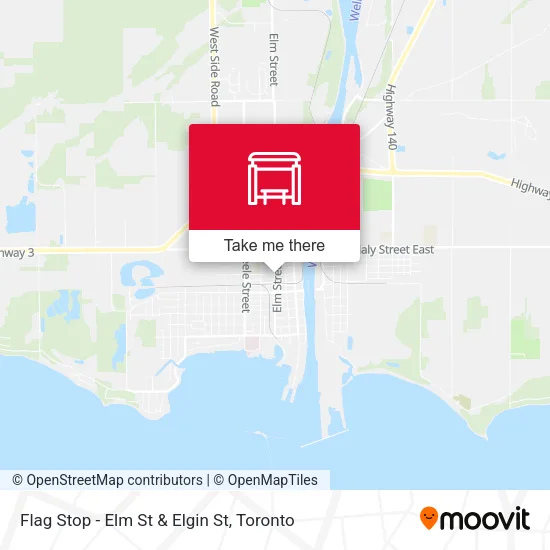 Flag Stop - Elm St & Elgin St map