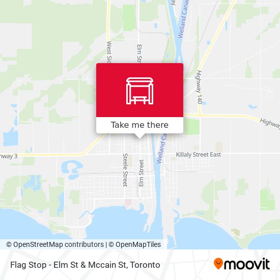 Flag Stop - Elm St & Mccain St plan