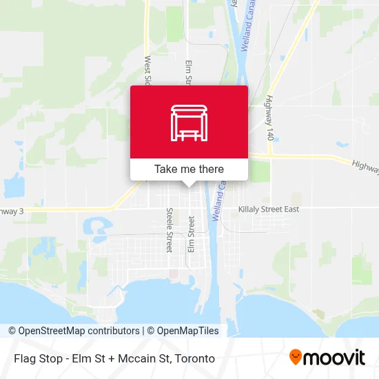 Flag Stop - Elm St + Mccain St map