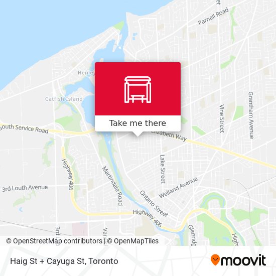 Haig St + Cayuga St plan
