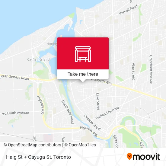 Haig St + Cayuga St map