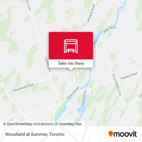 Woodland at Summer plan
