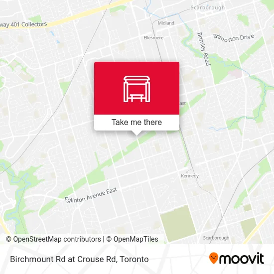 Birchmount Rd at Crouse Rd map