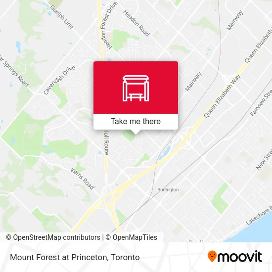 Mount Forest at Princeton map